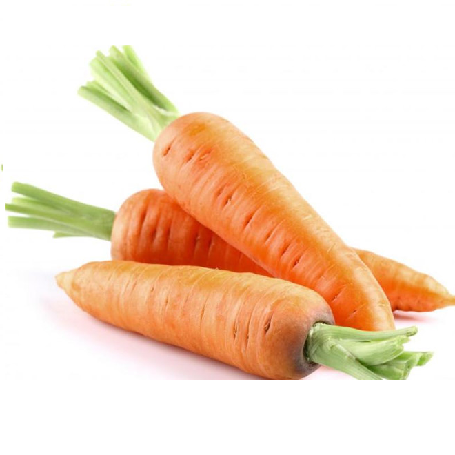 Hạt giống cà rốt